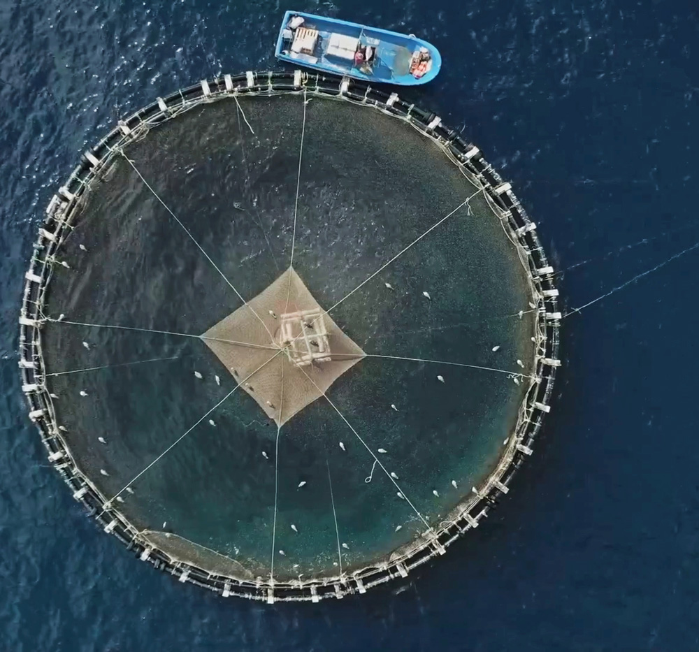 Aquaculture-Drone-sous-marin-ROV-drone-maroc-inodrone-resize